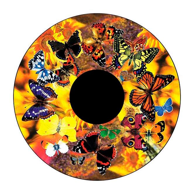 BUTTERFLY - Butterfly ディグニクス Dignics 80｜Products｜Butterfly Global Site: Table Tennis